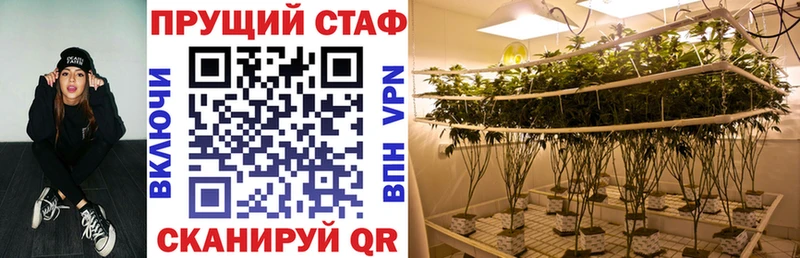 Магазины продажи наркотиков Острогожск Каннабис СОЛЬ ГАШ Меф Лсд 25 Кокаин Амфетамин