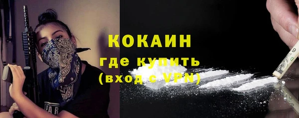 стаф Дмитриев