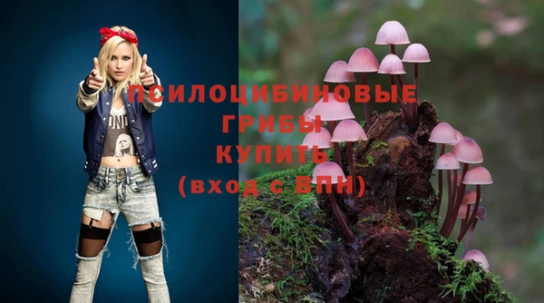 ГАЛЛЮЦИНОГЕННЫЕ ГРИБЫ Дмитров