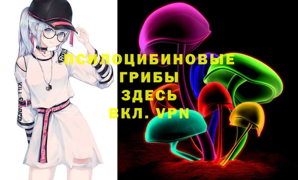 стаф Дмитриев
