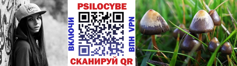 цены   Острогожск  OMG вход  Галлюциногенные грибы Psilocybine cubensis 