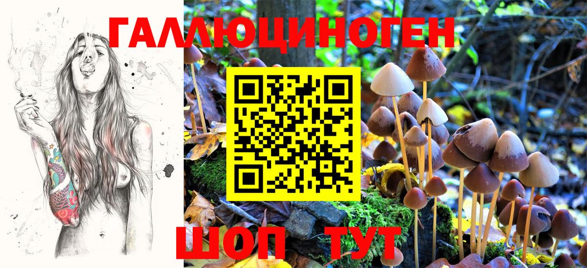 Галлюциногенные грибы MAGIC MUSHROOMS Острогожск
