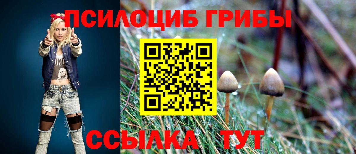 Острогожск  Псилоцибиновые грибы ЛСД  Вход с VPN  Псилоцибиновые грибы мицелий 