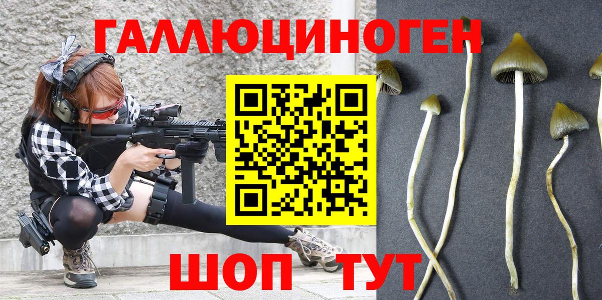 наркота  Острогожск  Галлюциногенные грибы Cubensis 